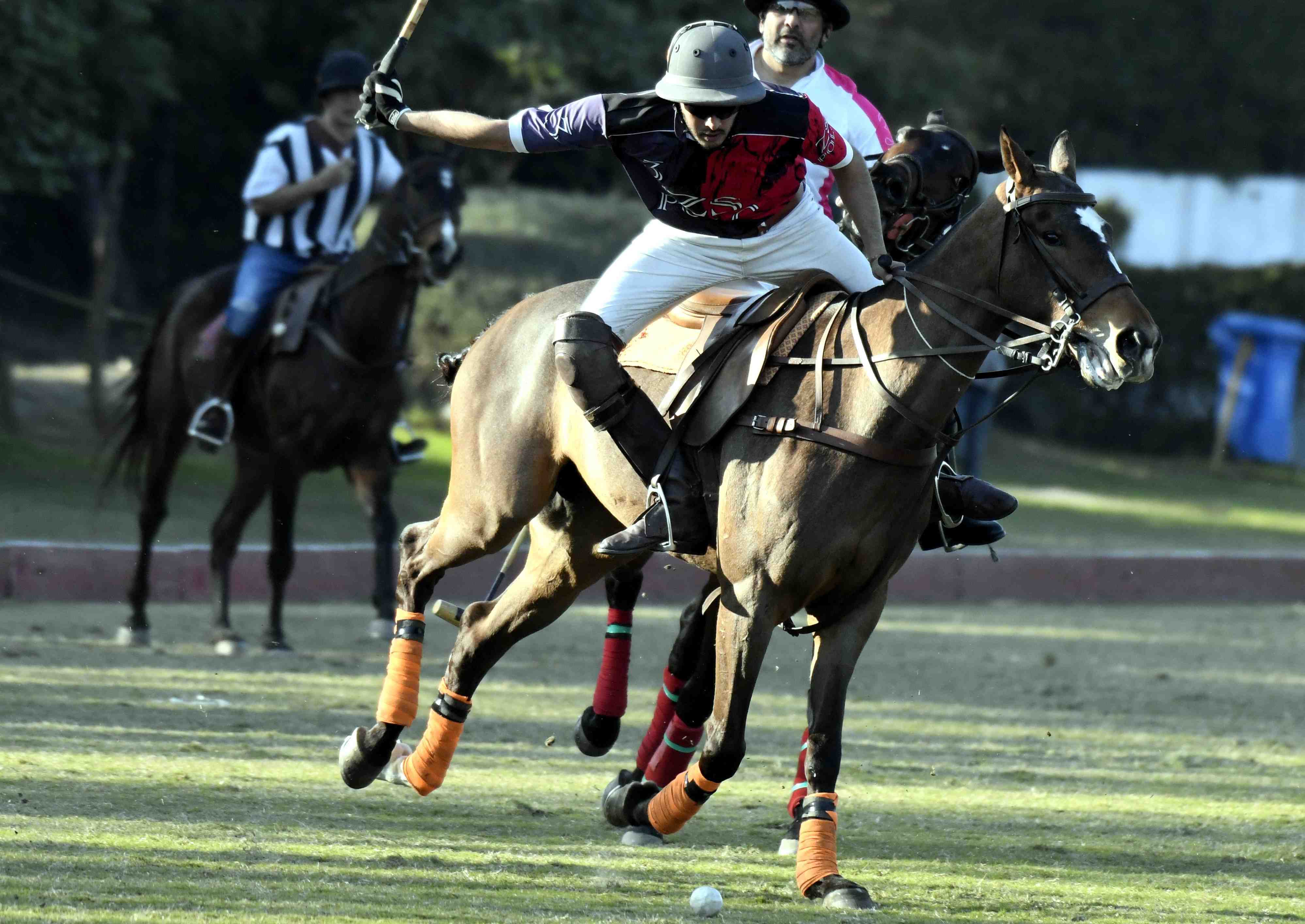 Noon Polo Cup 2024: ZS polo beat Total Nutrition 6-5