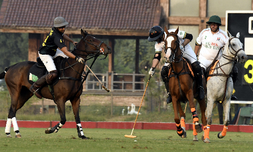 Tenacious Polo Cup: Rijas Polo/ZS and FG/Din Polo win openers