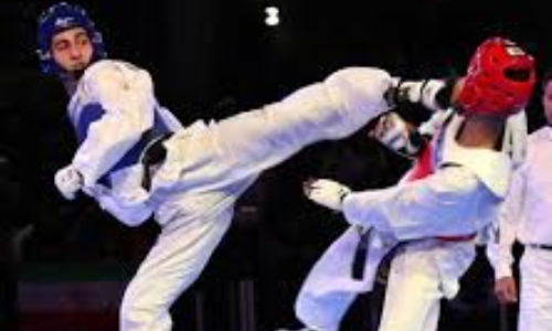 Online Taekwondo training