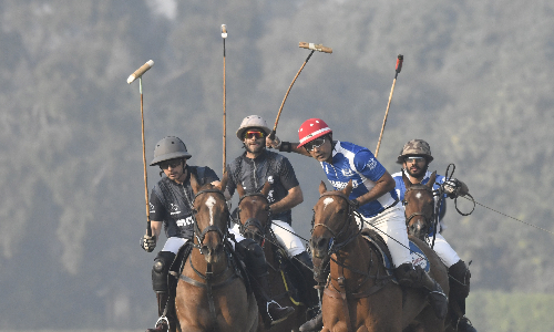 Lahore Polo: DP/Sheikhoo, Guard Rice, Diamond Paints emerge winners