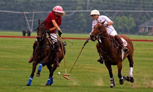 Saeed-uz-Zaman Janjua Memorial Polo Cup from Jan 17