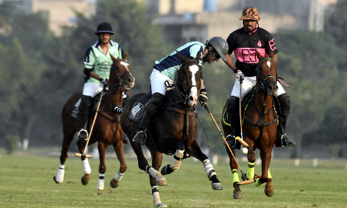 Polo Cup: Diamond Paints, Platinum Homes score wins