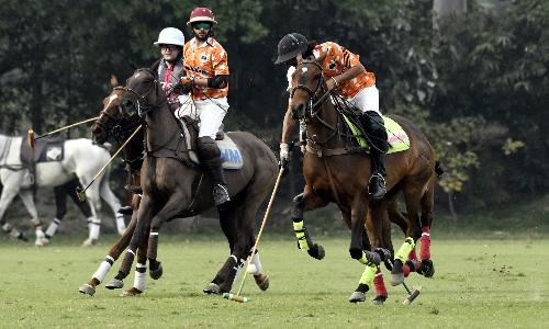 ZS Lions, Zacky Reapers win matches in Tower 21 Polo Super League